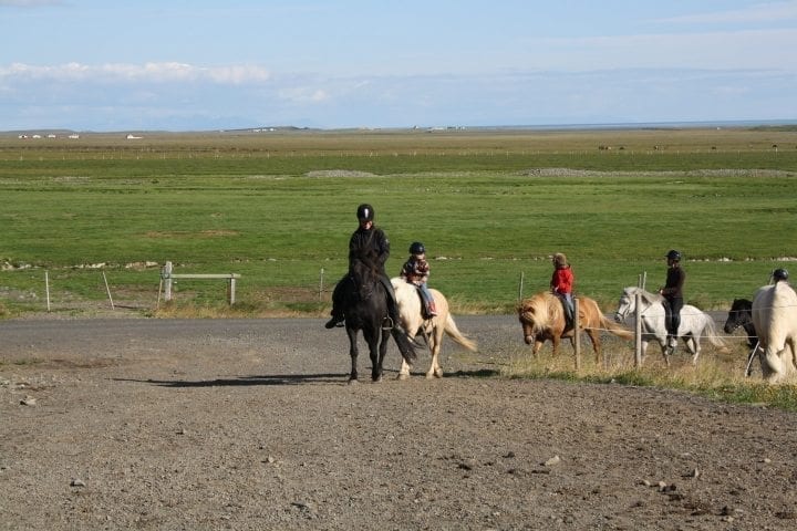 Reittour auf Snæfellsnes in Westisland