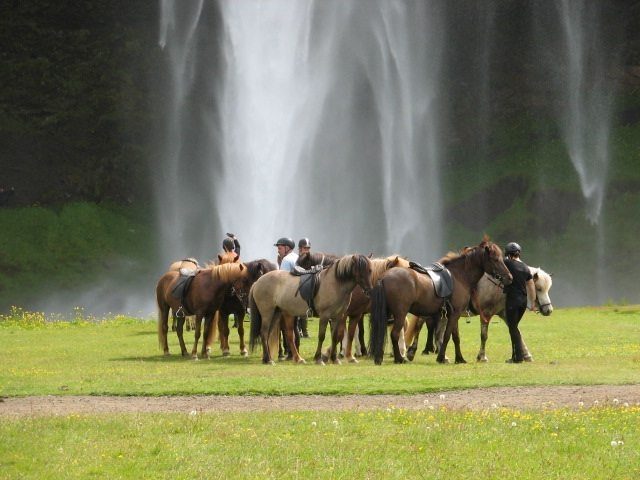 Reittour in Südisland – Hochlandoase Þórsmörk