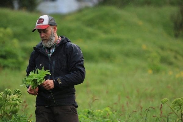 hakon and the herbs