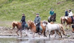 Reiten mit Arinbjörn bei Brekkulækur. Foto: Arinbjörn.
