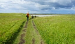 Wandern Traustholtshólmi, FOTO AS