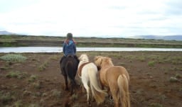 Herríðarhóll Reittour