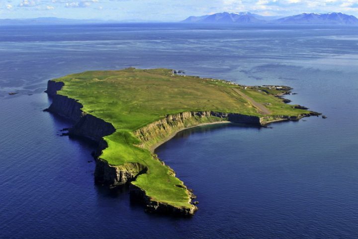 Die Vogelinsel Grímsey