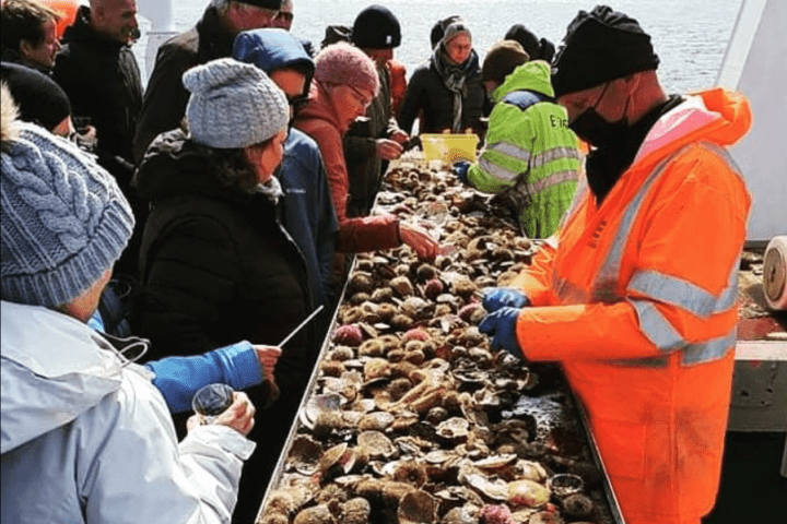Wikinger Sushi Tour ab Stykkishólmur